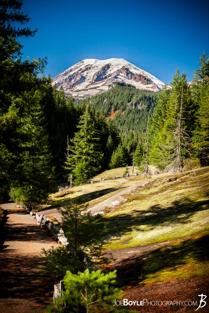 mount-rainier-on-the-wonderland-trail-near-indian-bar-portrait
