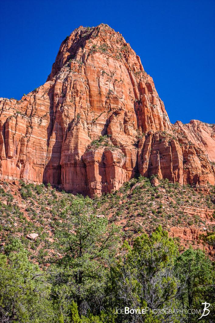 canyon-and-pillar-on-the-kolob-canyon-trail-iii