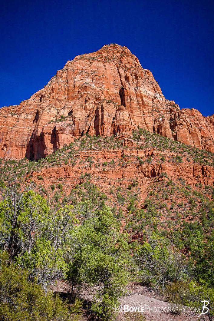 canyon-and-pillar-on-the-kolob-canyon-trail-ii-portrait