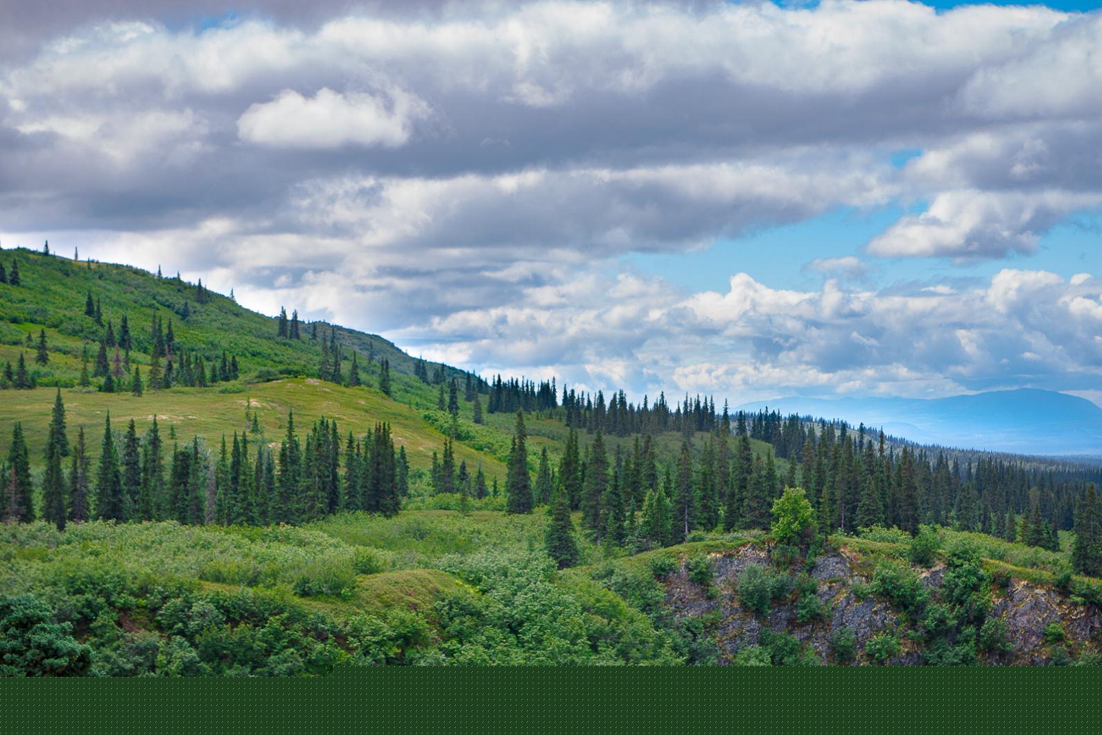kesugi-ridge-trail-mountain-top-landscape