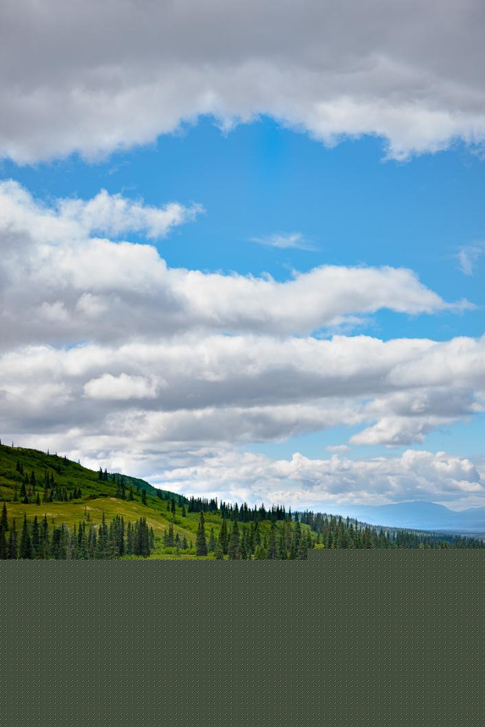 kesugi-ridge-trail-mountain-top-portrait