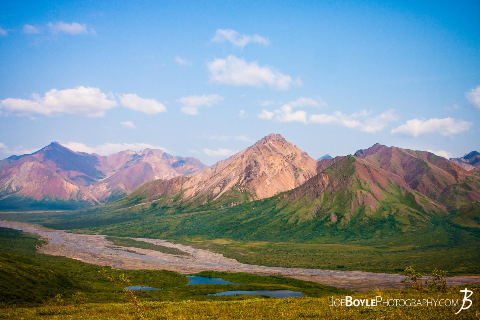 denali-national-park-mountains-fields-blue-sky-in-grid-6