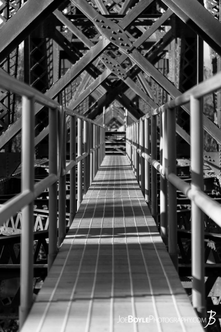 walkway-on-bridge-off-of-denali-highway-portrait-alaska-route-8-black-white