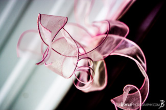 Whitehill-Family-Photoshoot-04