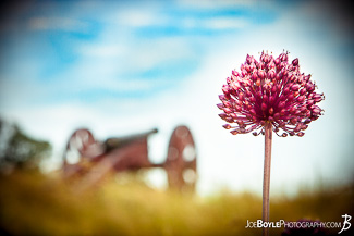 Yorktown and Mariners Museum - Virginia